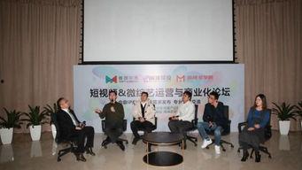 魏乐视频,探寻音乐与生活的和谐共鸣