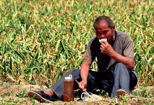 农民种地视频,农民种地视频背后的辛勤与希望
